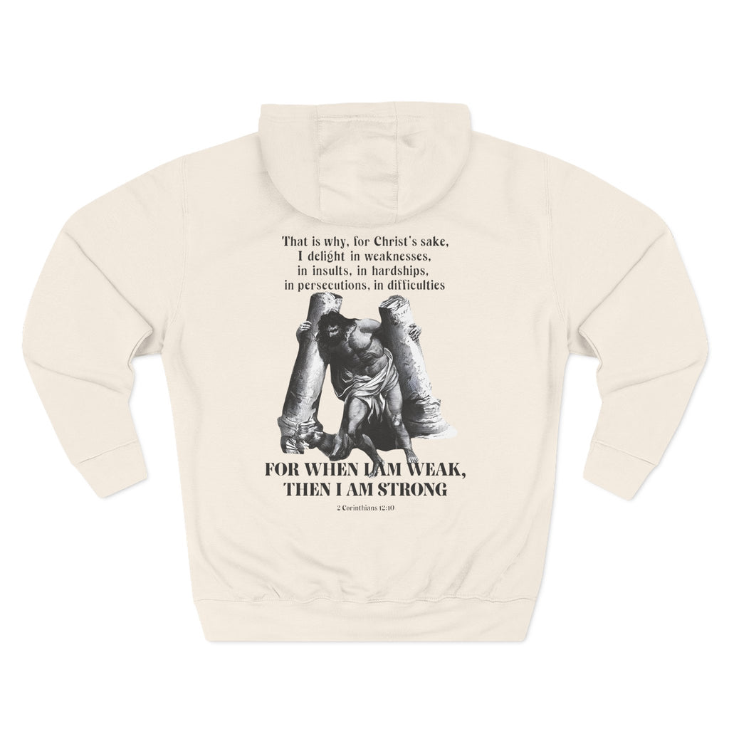 2 Corinthians 12:10 - Hoodie
